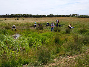 Group surveying pond