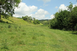 Whitekeld dale